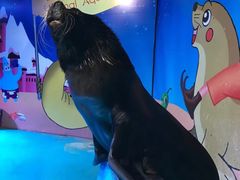 -乌鲁木齐海洋馆