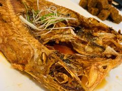 油浸宝石斑鱼-衡山汇·高级粤菜(霄云路店)