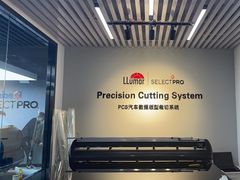 -龙膜全球臻选店·汽车贴膜·隐形车衣