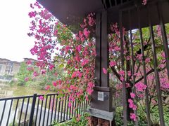 -美的鹭湖探索王国