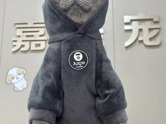 -嘉美宠物医院