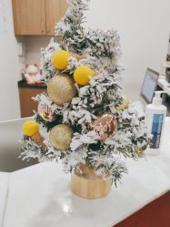 -上海玫瑰医疗美容医院