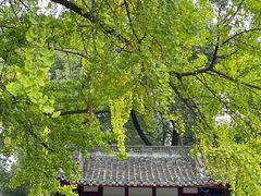 -古大圣慈寺