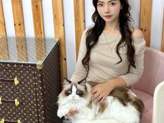 -青奢宠物·青奢猫舍