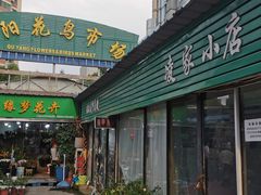 -曲阳花鸟市场(曲阳路店)