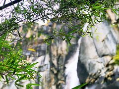 -卡定沟景区