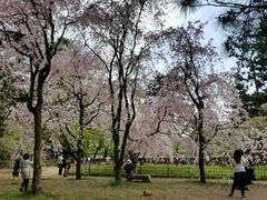 -京都御所