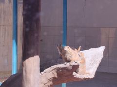 -杭州野生动物世界