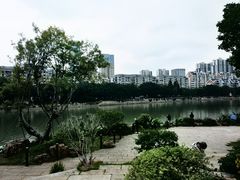 -光明港公园