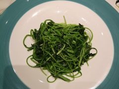 -玖号公馆