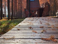 -黄海国家森林公园