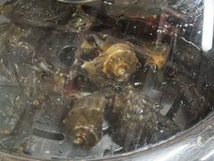 -争先鲜·蒸汽海鲜自助·鲜切牛肉