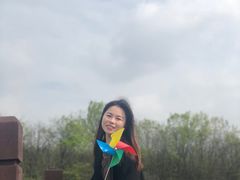 -大塘金香草谷