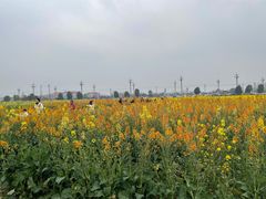 -中国天府农业博览园