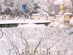 -颐和路民国时期公馆风貌区