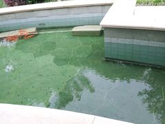 -苏州湾·王焰温泉