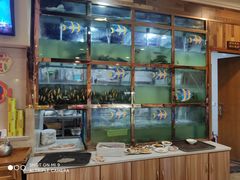 自助取餐区-鱼品天下美蛙鱼·海鲜·牛排自助