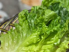 生菜-阿里郎韩国料理