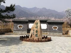 -阳台山自然风景区