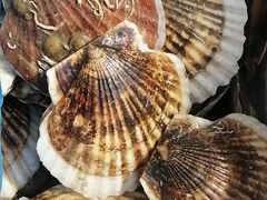 -威海大水泊国际机场