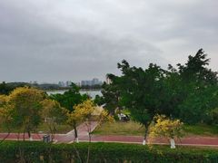 -鹤之洲湿地公园