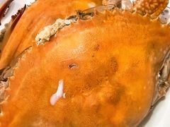 -北塘海鲜·天津菜(大光明桥旗舰店)