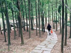 -宝界山林公园