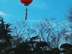 -朴园