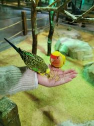 -酷嗒动物文化乐园(cutezoo西溪乐天城店)