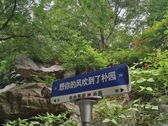 -朴园