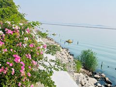 -贡湖湾湿地公园