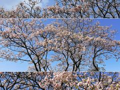 -舒家湾天主教堂