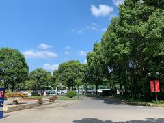 -上海市民办金苹果学校