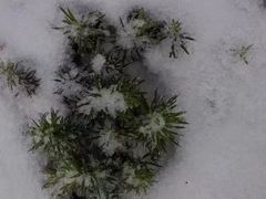 -西岭雪山大飞水景区