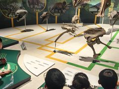 -国家自然博物馆