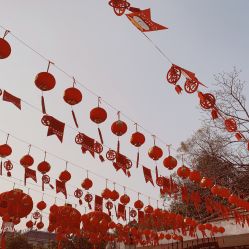 -东山游乐园