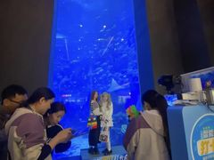 -成都浩海立方海洋公园