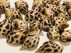 -金悦轩海鲜酒家(银河店)