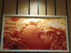 -新石器烤肉(周浦万达店)