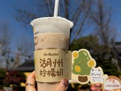 -猫的魔法密林(衣裳街店)