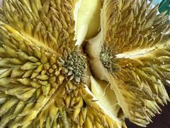-盒马鲜生(莱蒙都会店)