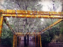 溱湖国家湿地公园-溱湖国家湿地公园