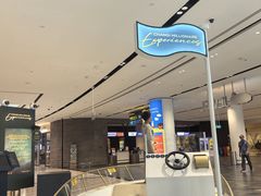 -樟宜机场免税店