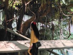 -武汉园博园(武汉自然博物馆)