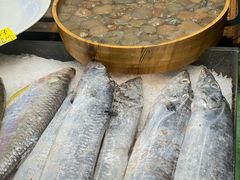 -小厨师·二十年沈家门小海鲜(百井坊巷店)