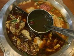-喜鱼客(局外太格茂店)