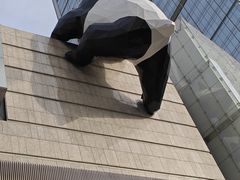 -成都IFS