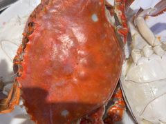 -半岛听涛蒸汽海鲜自助(K11店)
