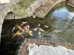 -水前寺成趣园