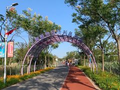 -上海长兴岛郊野公园